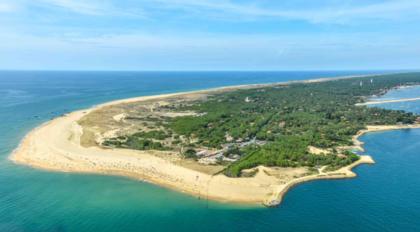 Vous allez tout connaître sur la création et le développement du Cap-Ferret à travers l'histoire du siècle dernier.