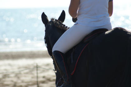 Passez un moment d'exception du 1er au 3 juin lors du Jumping des Sables à Arcachon !