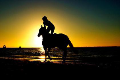 Jumping des Sables 2017 à Arcachon