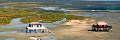 Les Cabanes Tchanquées, deux vieilles Dames bienveillantes qui veillent sur le Bassin d'Arcachon